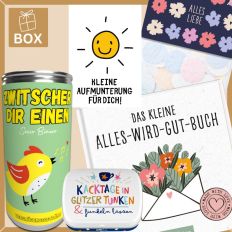 Geschenkbox KLEINE AUFMUNTERUNG FÜR DICH! # 4