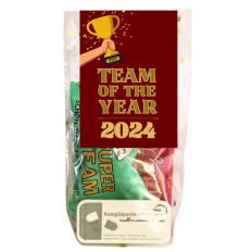 Mini Magic TEAM OF THE YEAR 2024 # 2