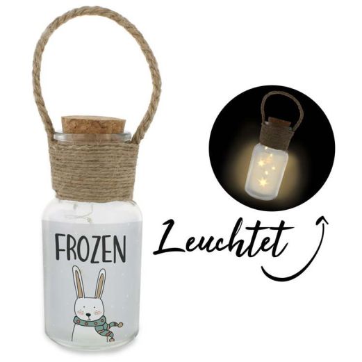 LED Sternenlicht FROZEN